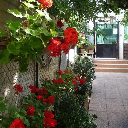 Logis Victorine 2* ניס
