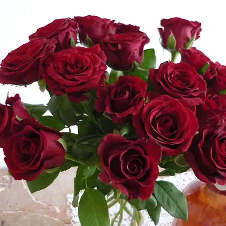 Logis Victorine מלון 2*