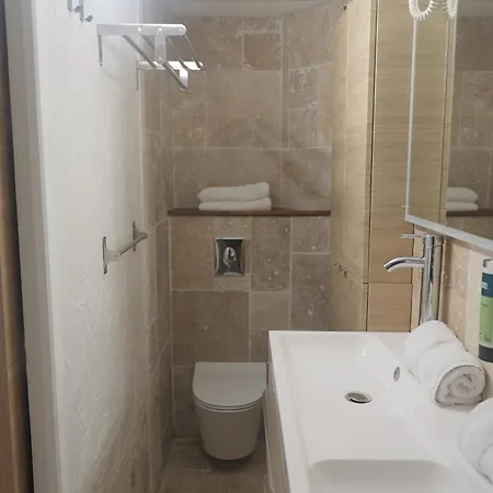 Logis Victorine מלון ניס