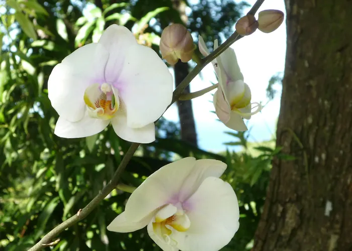 Szálloda Logis Victorine Nizza