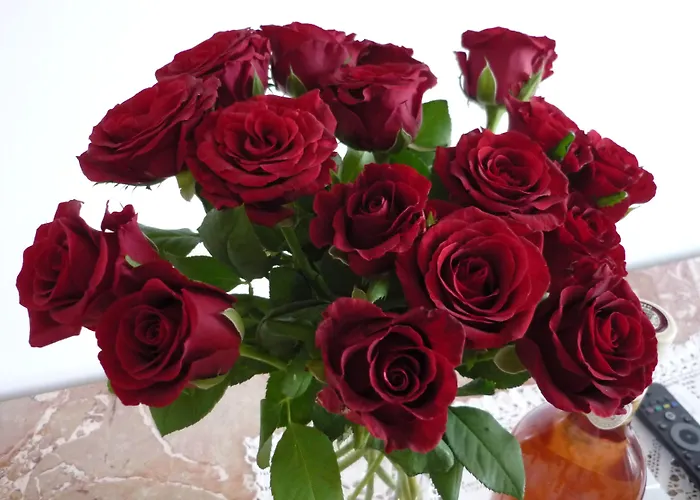 Logis Victorine Hotel 2*