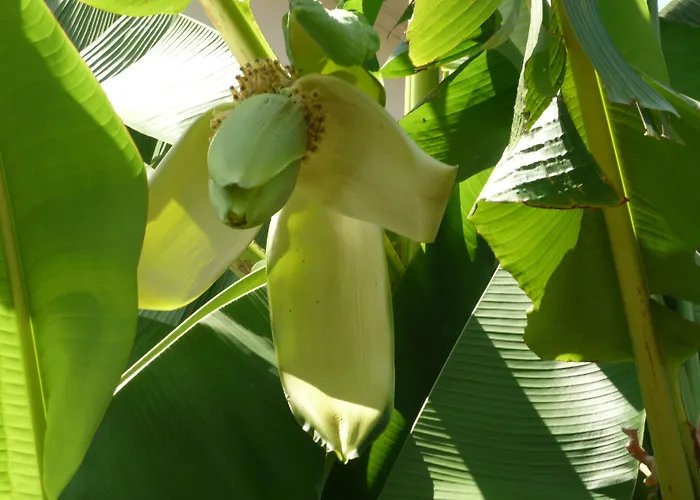 Logis Victorine Szálloda