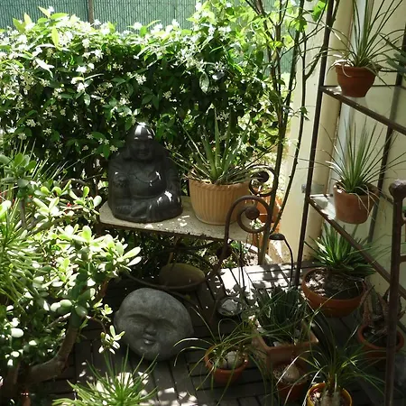 Hotel Logis Victorine 2*