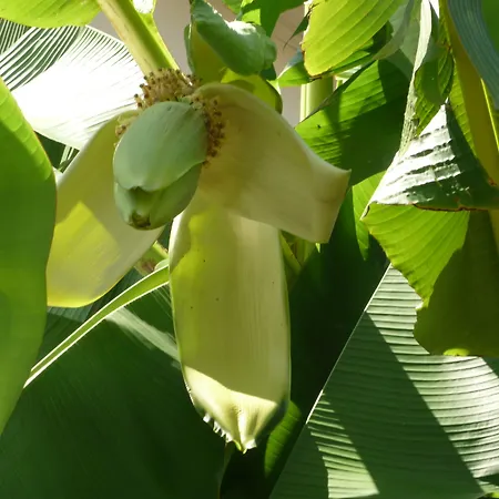 Logis Victorine Hotel