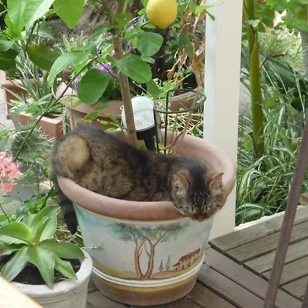 Hotel Logis Victorine